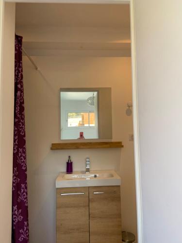 卡布勒通Chambre privée avec terrasse的一间带水槽和镜子的浴室