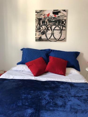 圣保罗Hostel Borba Gato的一张带红色和蓝色枕头的床