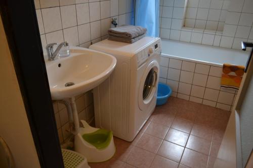 特普利采Apartment House Maestro Teplice的一间带洗衣机和水槽的浴室