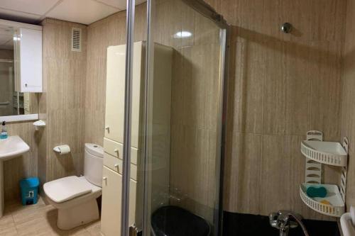 阿尔梅利马Apartamentos San Miguel 2的带淋浴、卫生间和盥洗盆的浴室