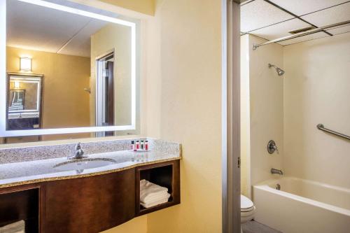 索格蒂斯豪生酒店 - 索格蒂斯的一间带水槽、镜子和卫生间的浴室