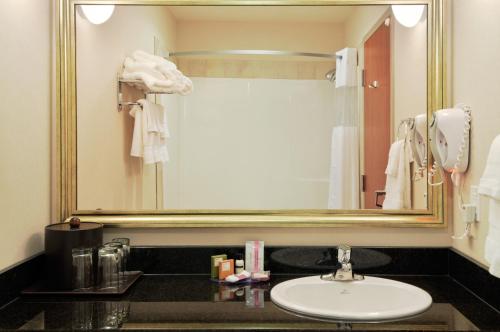 Humboldt卡纳塔洪堡酒店的一间带水槽和大镜子的浴室