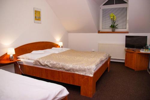 赫拉德茨 - 克拉洛韦阿克莎高级旅馆的一间卧室配有两张床和一台平面电视