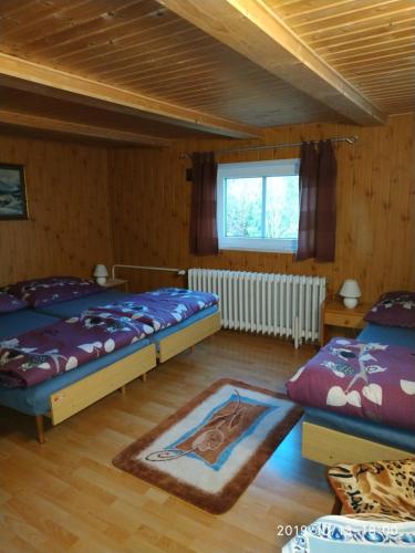 坦瓦尔德全景旅馆的一间卧室设有两张床和窗户。