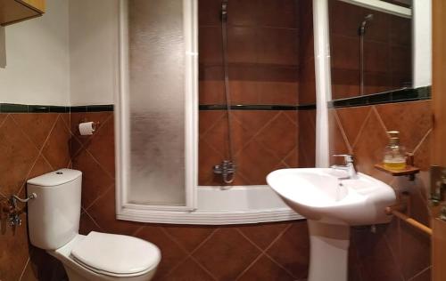 塞拉内华达GRAN ESTUDiO MARIBEL的浴室配有卫生间、盥洗盆和淋浴。