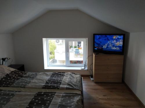 哈斯科沃Самостоятелен етаж от къща за гости的一间卧室配有一张床和一台平面电视