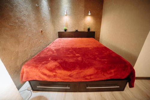 戈梅利Apartment on Lenin Avenue的一张床上的红色毯子,放在一个房间里