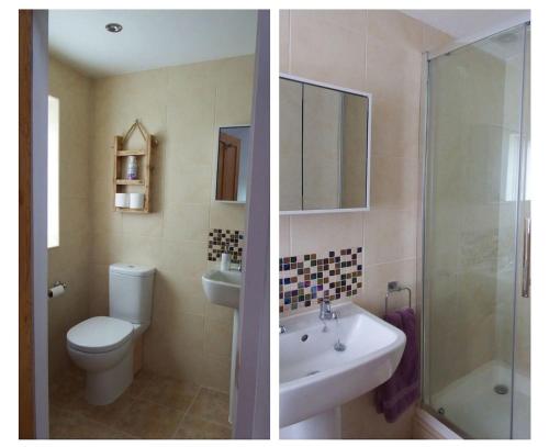 Praze an BeebleThe Piggery at Moorfield Barns的浴室的两张照片,配有卫生间和水槽