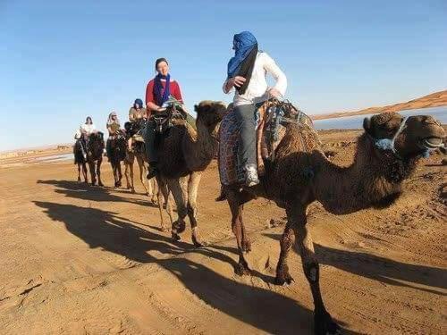 扎古拉berber sahara的相册照片