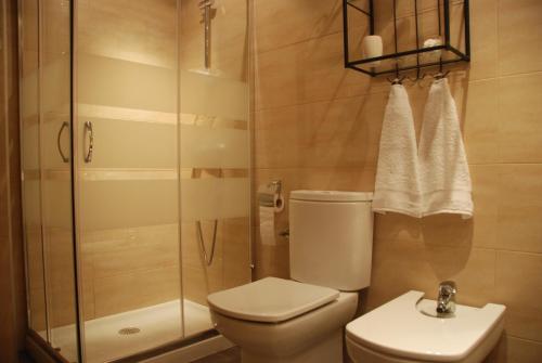 托莱多菊德里亚公寓酒店的浴室配有卫生间、淋浴和盥洗盆。