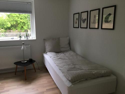 KjellerupLundgaarde Bed & Breakfast的一间小卧室,配有床和窗户