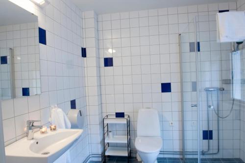 图什比STF Valbergsängen Sporthotell的一间带水槽、卫生间和淋浴的浴室