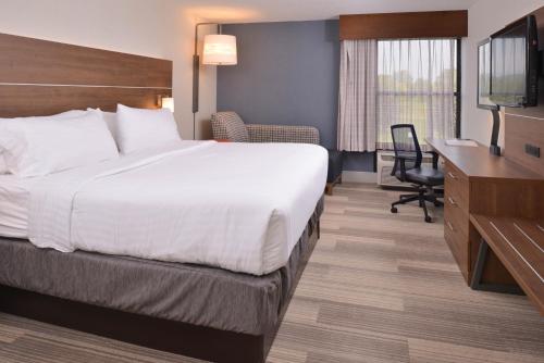 奥利安奥利安希尔顿恒庭酒店的酒店客房配有一张床、一张书桌和一台电视。