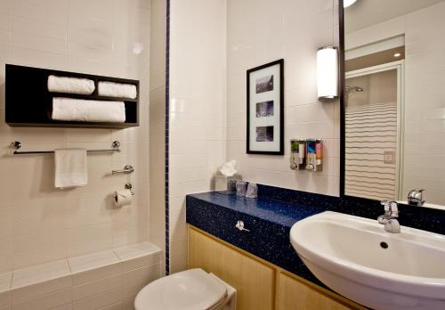 什鲁斯伯里什鲁斯伯里快捷假日酒店的一间带水槽、卫生间和镜子的浴室