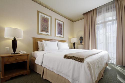 瓜纳华托瓜纳华托智选假日酒店的卧室设有一张白色大床和一扇窗户。
