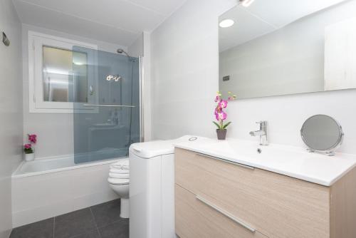 埃尔塔特Apartamento Avet的一间带水槽、卫生间和淋浴的浴室