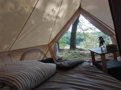 贝尔帕索Rifugio Manfre Bivouac Tent的帐篷内的一张床位,配有窗户
