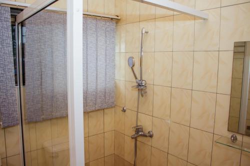 North LegonTravellers Palm Court的带淋浴的浴室和玻璃门