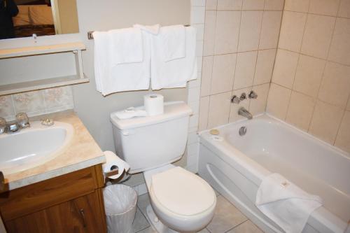 霍普Hope Inn and Suites的浴室配有卫生间、浴缸和水槽。