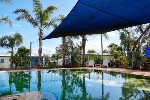 卡尔斯阿玛鲁公园酒店的一个带蓝伞和棕榈树的游泳池