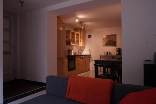 不莱梅豪斯鲁尔曼公寓的带沙发的客厅和厨房