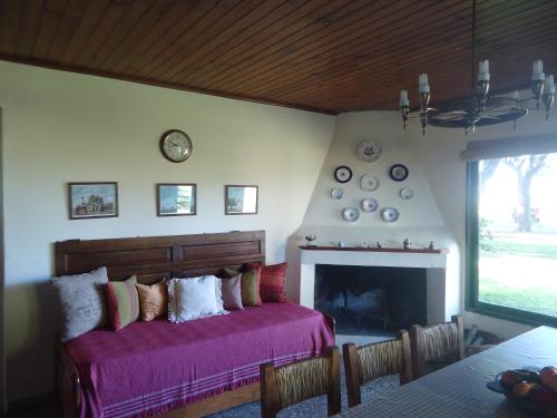 圣安东尼奥德阿雷科Puesto Las Totoras的带沙发和壁炉的客厅
