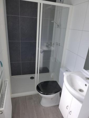 BeekChalet Helmgras的浴室配有卫生间、淋浴和盥洗盆。