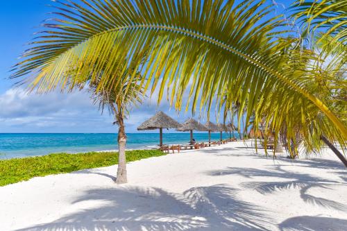布韦朱The Sands Beach Resort的海滩上的棕榈树,带椅子和遮阳伞