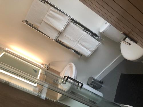 塞尔比Bay horse hotel的浴室配有卫生间和墙上的毛巾。