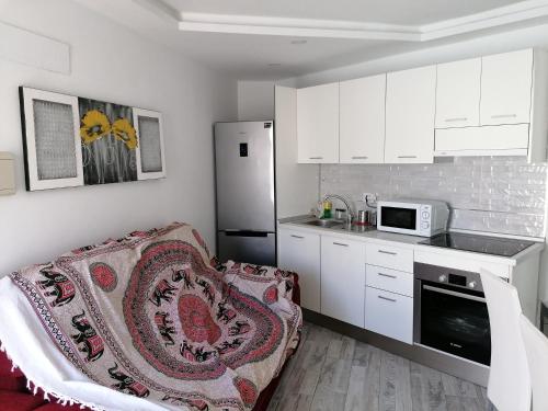阿罗纳wonderful white appartament in las Tortugas的带沙发和冰箱的厨房