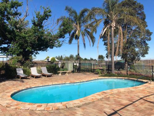 MorpethHunter Oasis的一个带两把椅子的游泳池,棕榈树