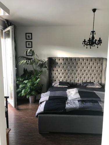 捷克克鲁姆洛夫Krumlove的一间卧室配有一张大床和一个吊灯。