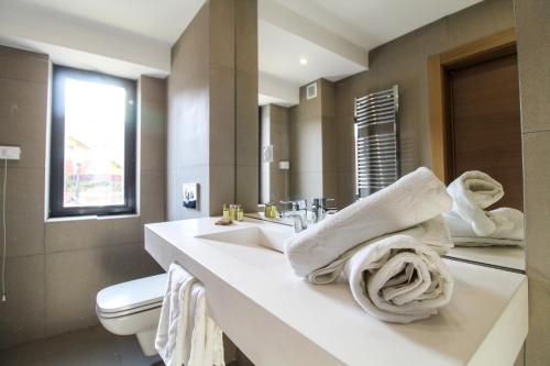 BuzăuHotel Avenue - Avenue Hotels的浴室配有盥洗盆、卫生间和毛巾。