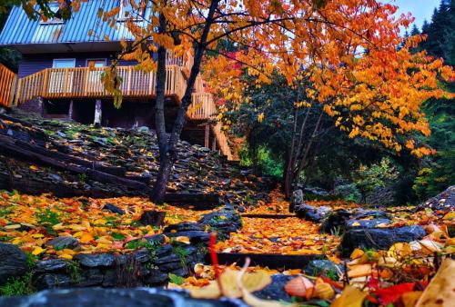 皇后镇Mountain Creek Vacation的房屋前地上的一堆树叶