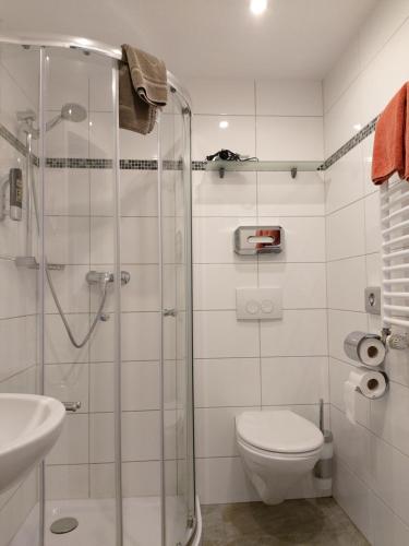 比苏姆Der Mühlenhof的带淋浴、卫生间和盥洗盆的浴室