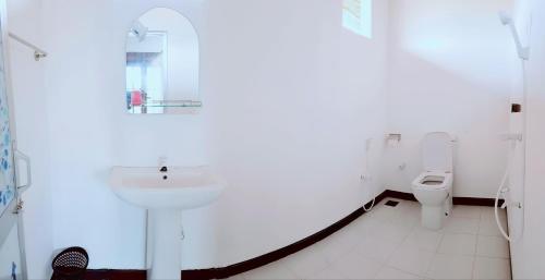 阿鲁甘湾Exotic Beach Hotel的一间带水槽和卫生间的浴室