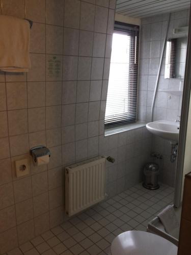 ElterleinLandhotel Elterlein的一间带水槽和卫生间的浴室以及窗户。