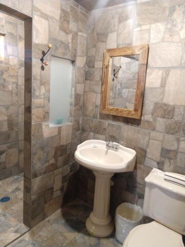 Tlaxco de MorelosHotel Finca Belén的一间带水槽、卫生间和镜子的浴室