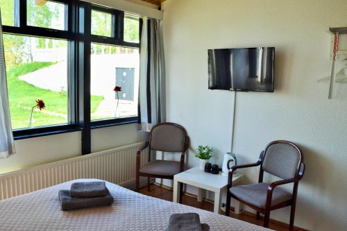 拉平耶尔维哈尼酒店的一间设有两把椅子、一张床和窗户的房间
