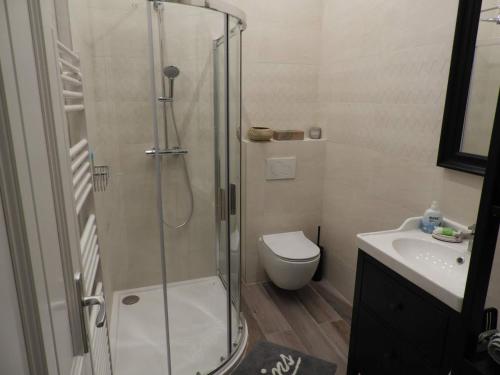 布达佩斯Gizella apartman的带淋浴、卫生间和盥洗盆的浴室