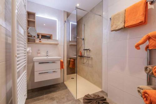 施图拜河谷新施蒂夫特豪斯拉且尔旅馆的一间带玻璃淋浴和水槽的浴室