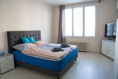 帕尔杜比采Apartment Třída Míru的一间卧室配有一张床和一台电视