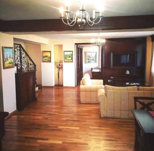 蒂米什瓦拉Penthouse Renașterii Amazonia的客厅配有两张沙发和一个吊灯。