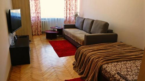 利沃夫Very nice Apartment in L'viv的带沙发和电视的客厅