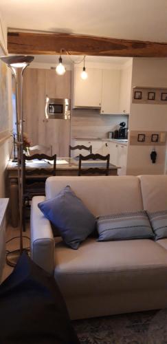 KortenbergCharta Appartement的带沙发的客厅和厨房