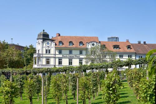 弗莱堡波斯特公园酒店的葡萄园后面的一座建筑,有一堆葡萄