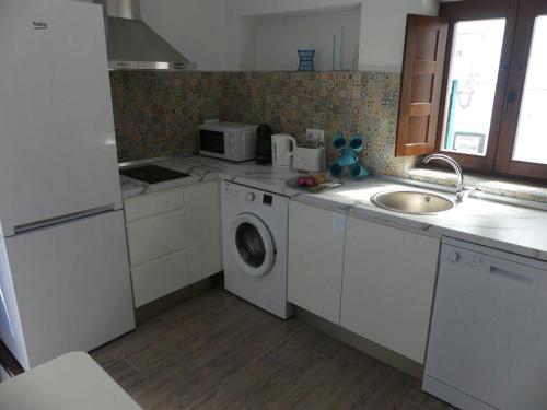 弗里希利亚纳CASA PURICA的厨房配有水槽和洗衣机