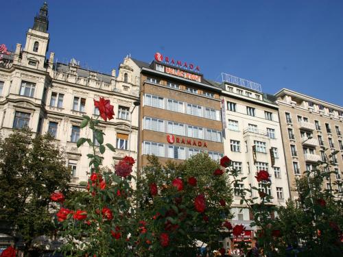 布拉格华美达布拉格市中心酒店的一座大建筑,前面有红花