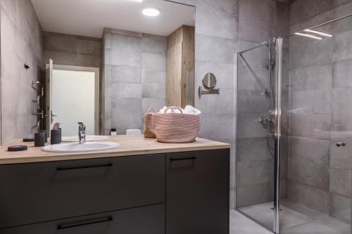 德鲁斯基宁凯Apartment Hotel Laisve的一间带水槽和淋浴的浴室