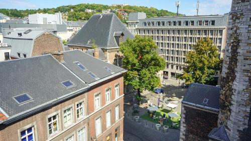 列日Amosa Liège City Centre Hotel的城市的顶部景观,有建筑和树木